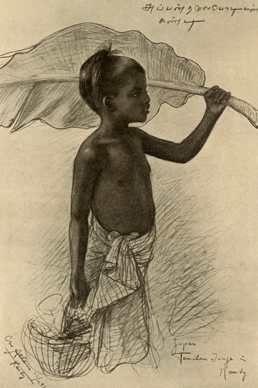 タミル人の少年、キャンディ、セイロン、1898 年。 作： クリスチャン・ウィルヘルム・アラーズ