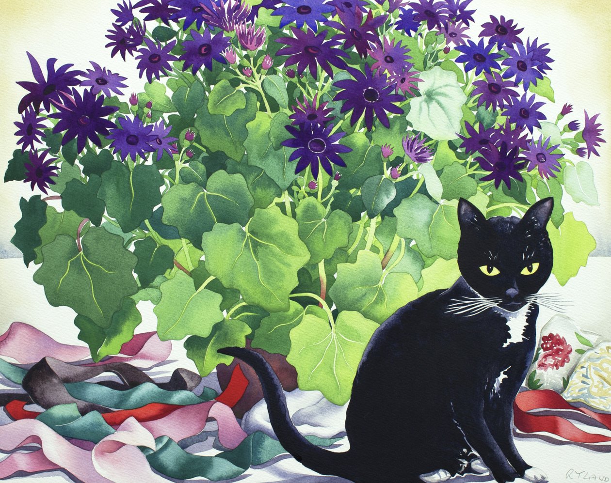 セネッティ植物と猫 作： クリストファー・ライランド