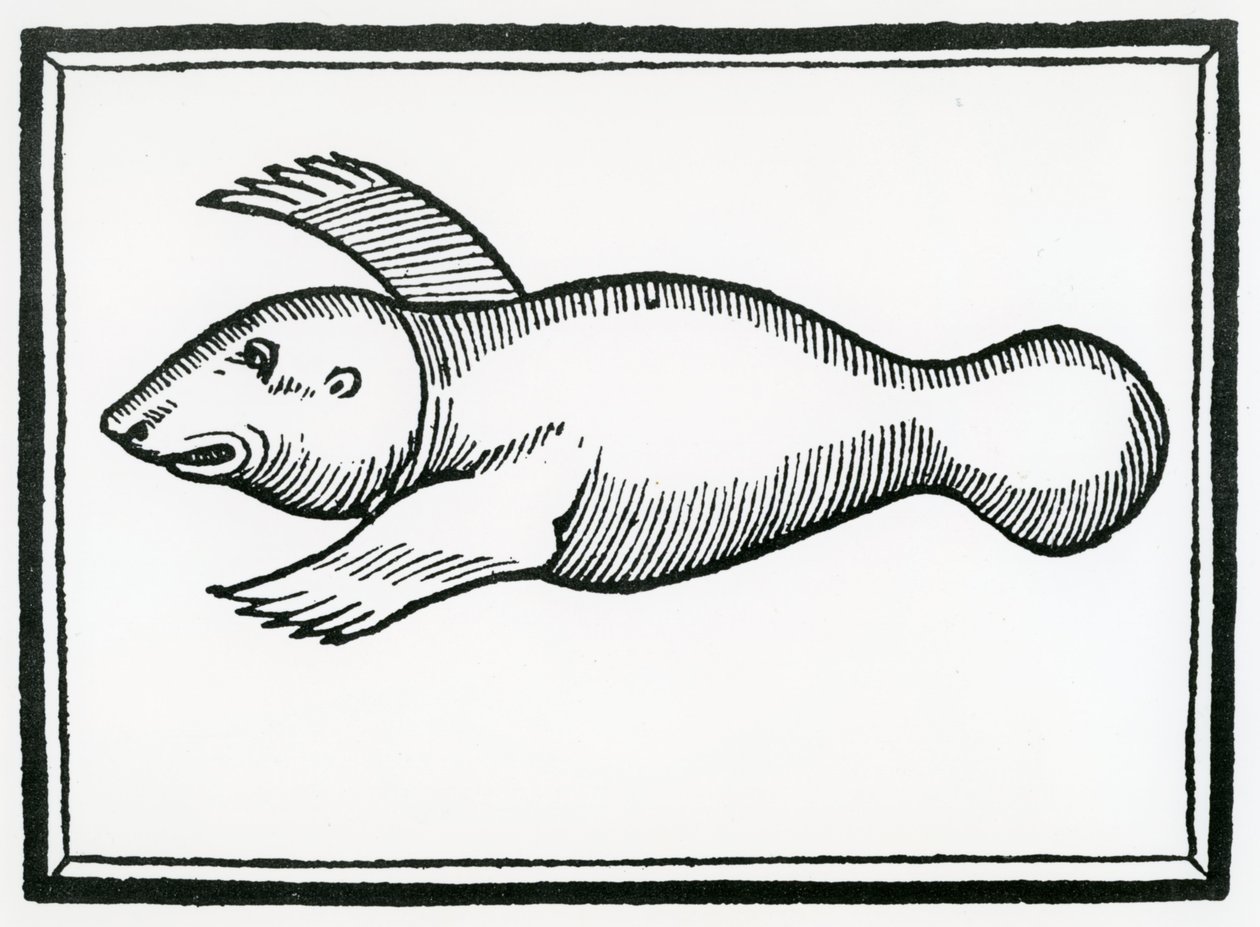 「インディーズの一般史」から「マナティ」と呼ばれる魚1547 作： クリストファー・コロンバス