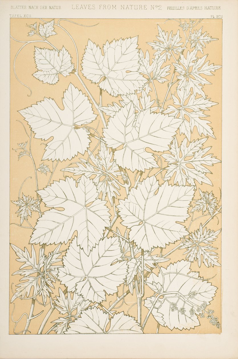 自然からの葉、1868（chromolitho） 作： クリストファー・ドレッサー
