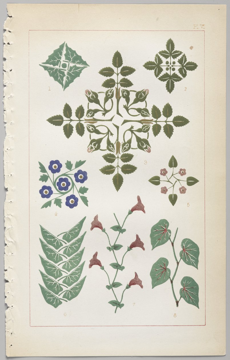 装飾デザインの芸術：付録付き、花が開く日の時間を示す、Day＆Son、ロンドン、1862年発行 作： クリストファー・ドレッサー
