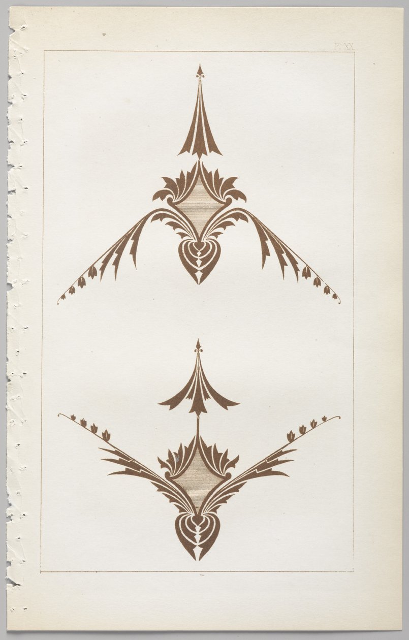 装飾デザインの芸術：付録付き、花が開く日の時間を示す、Day＆Son、ロンドン、1862年発行 作： クリストファー・ドレッサー