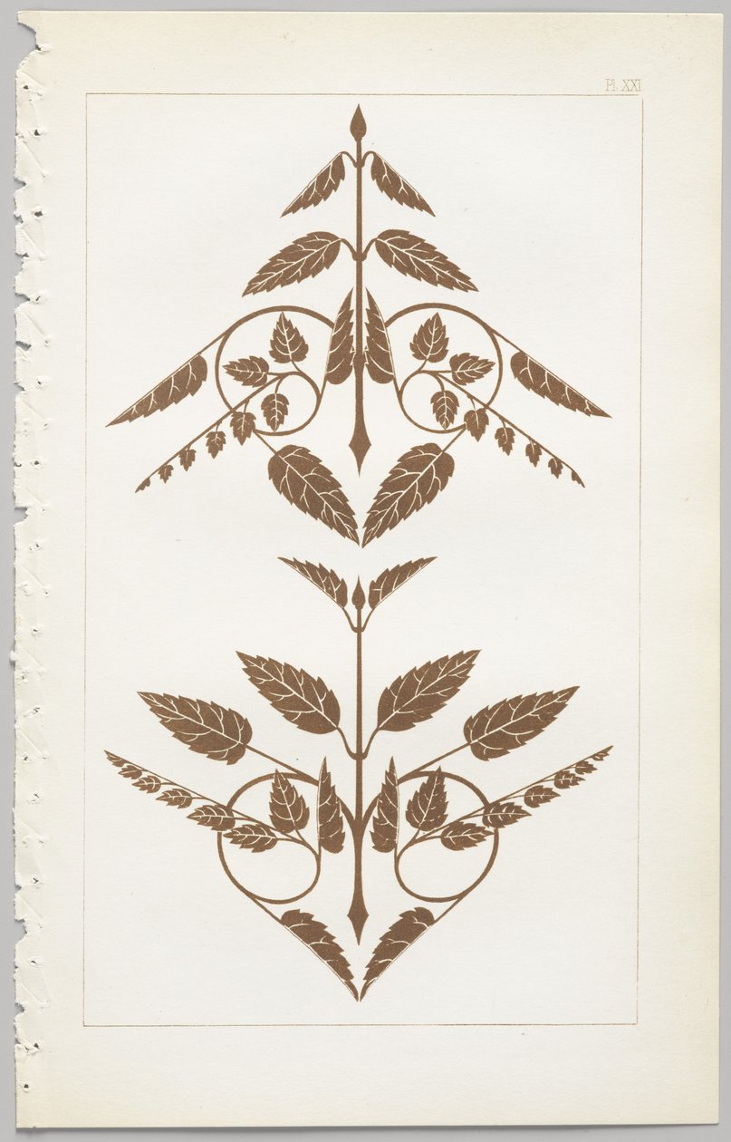装飾デザインの芸術：付録付き、花が開く日の時間を示す、Day＆Son、ロンドン、1862年発行 作： クリストファー・ドレッサー