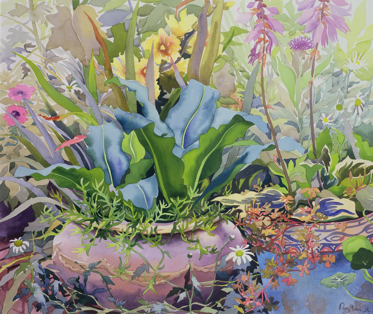 植物のある庭、2000（紙にトイレ） 作： クリストファー・ライランド
