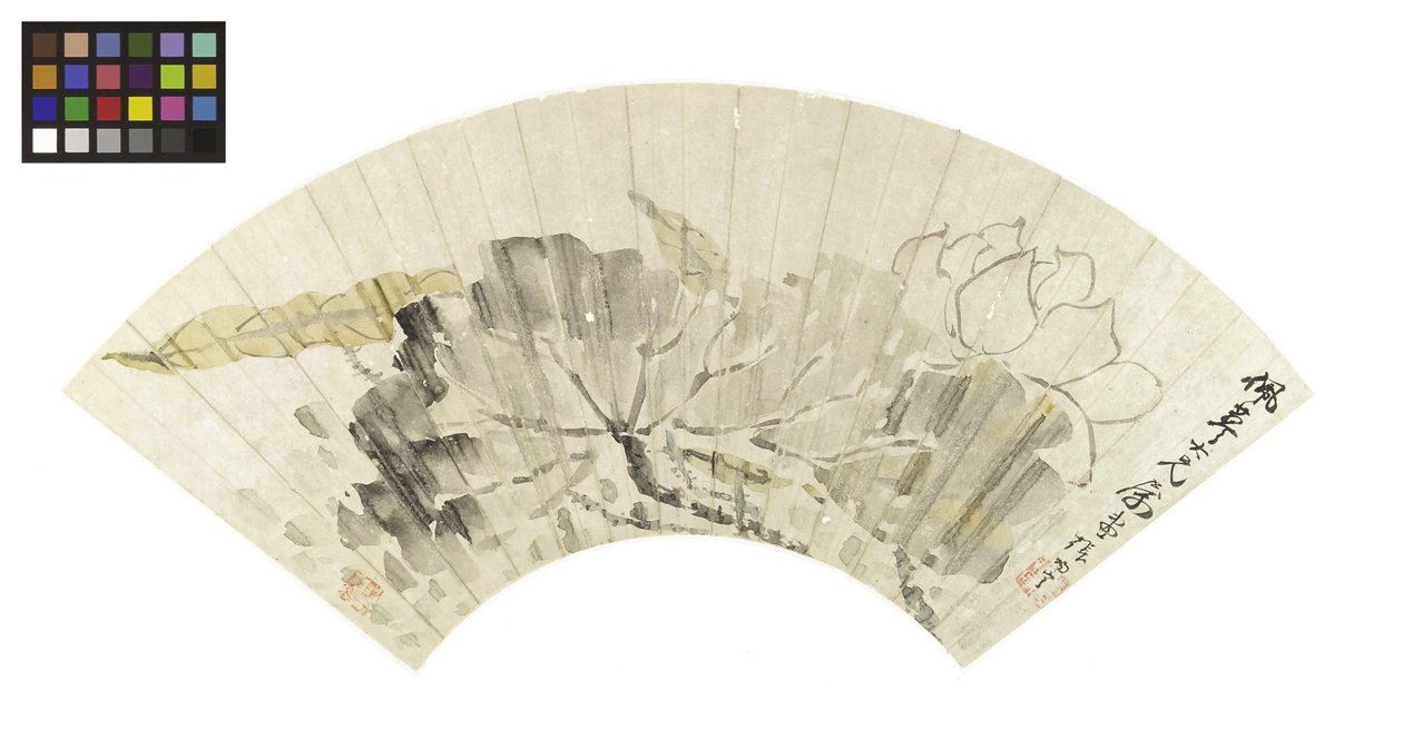 蓮の花と葉（紙の上にインクと明るい色） 作： チャン・チャン