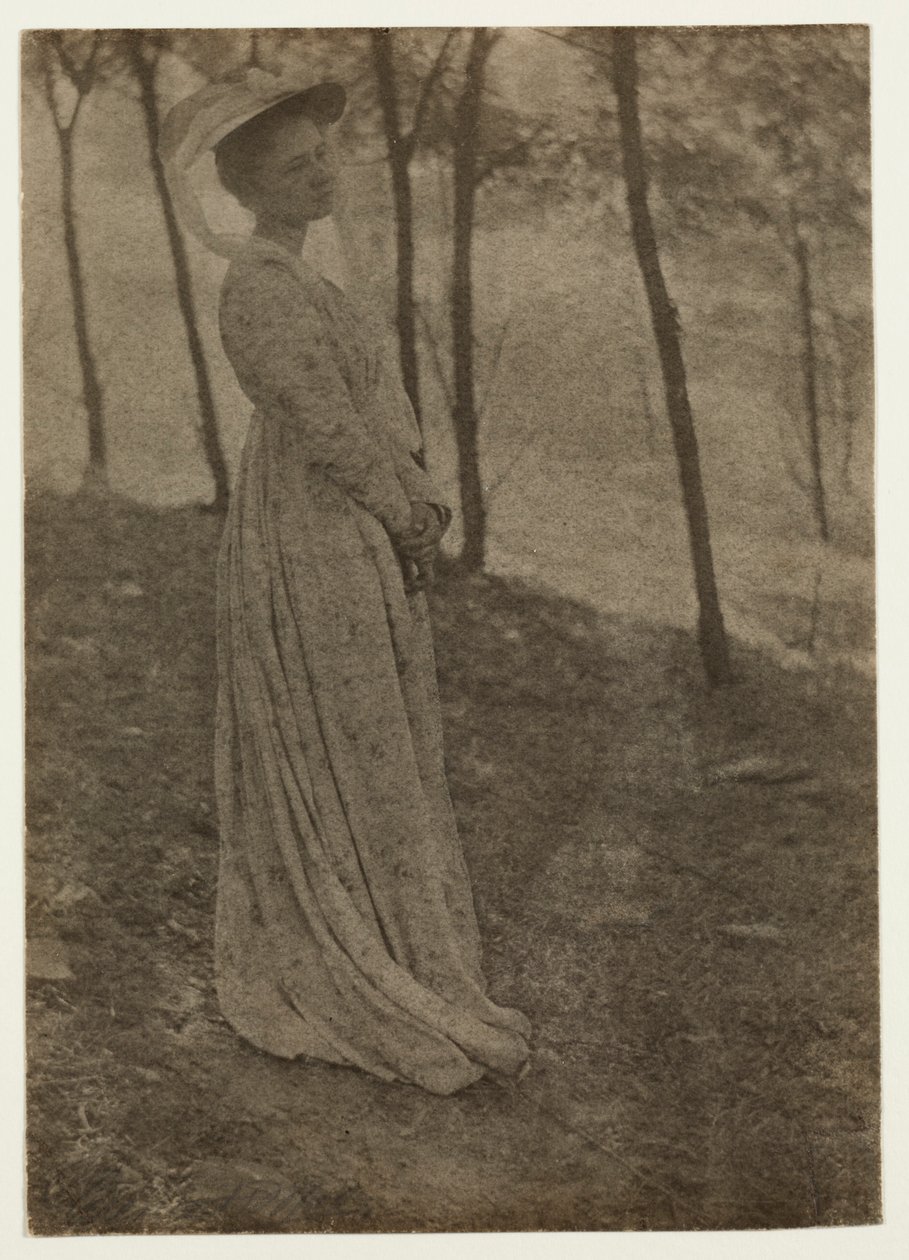 ジュリアホールマッキューン、c。 1897 作： クラレンスH.ホワイト