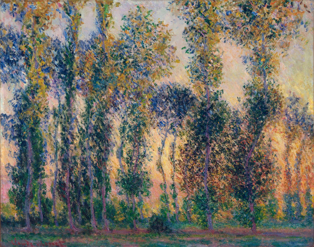 ジヴェルニー (フランス) のポプラ、日の出。 クロード・モネ (1840-1926) の絵画、キャンバスに油彩 作： クロード・モネ