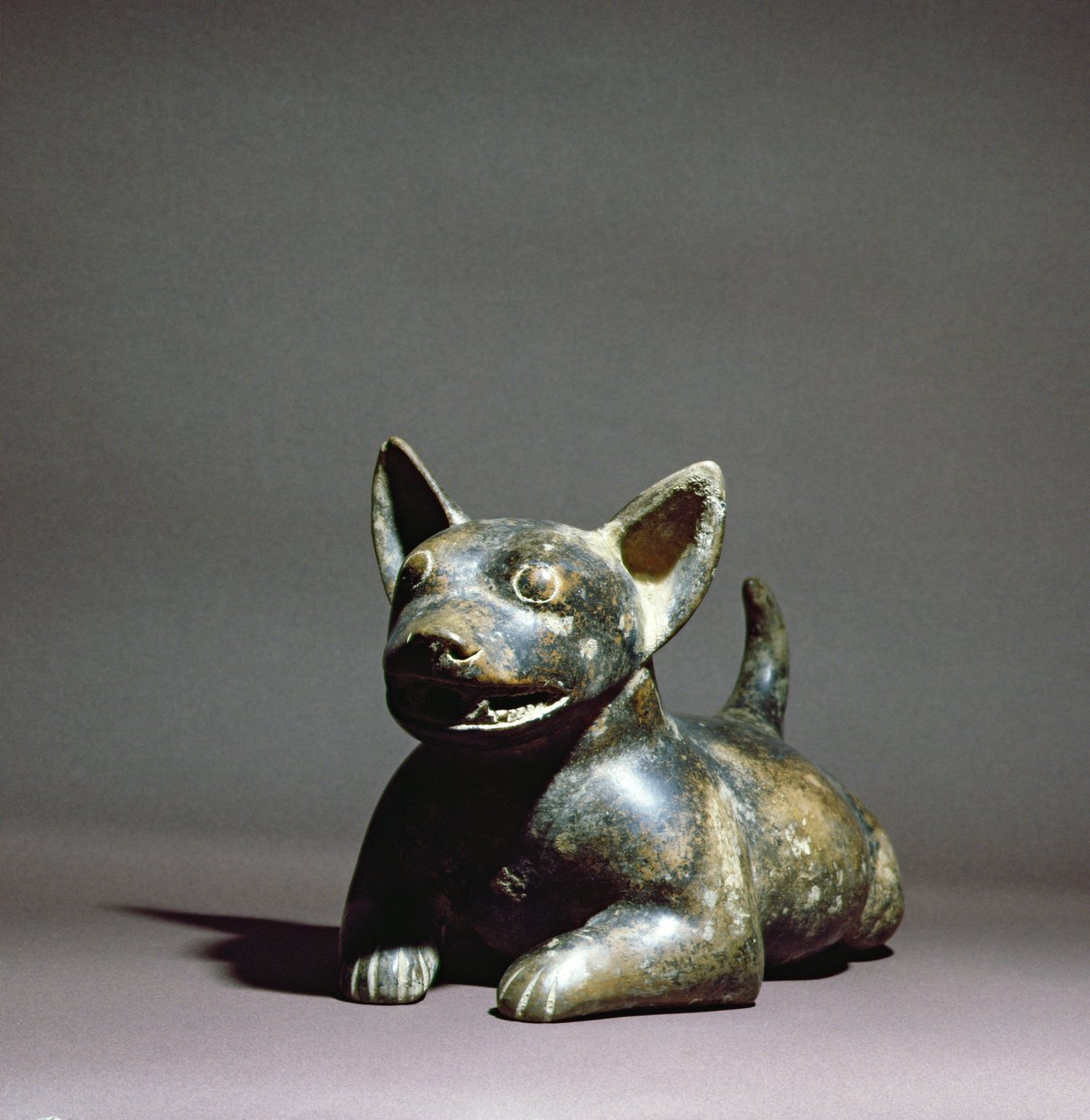 コリマ半横たわ犬、紀元前300年〜紀元前500年（セラミック） 作： コリマ文化