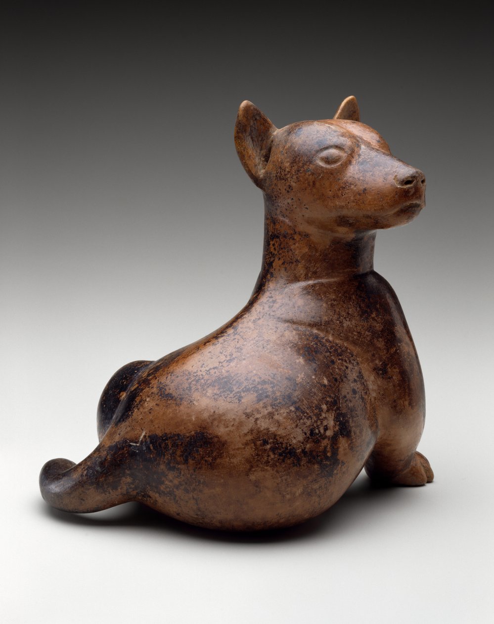 半着座の犬、メキシコ、プロトクラシック、100 BC-AD 300（陶器） 作： コリマ文化