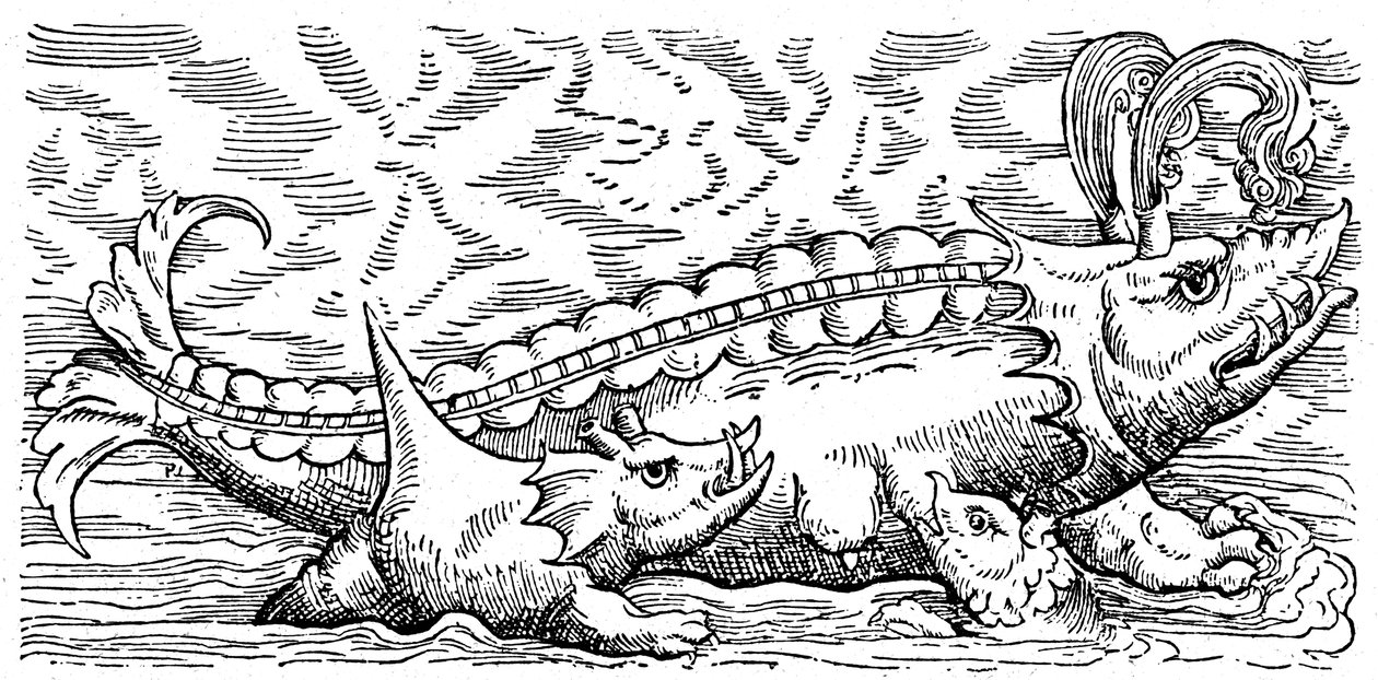 授乳中のクジラと海豚 作： コンラッド（後）ゲスナー