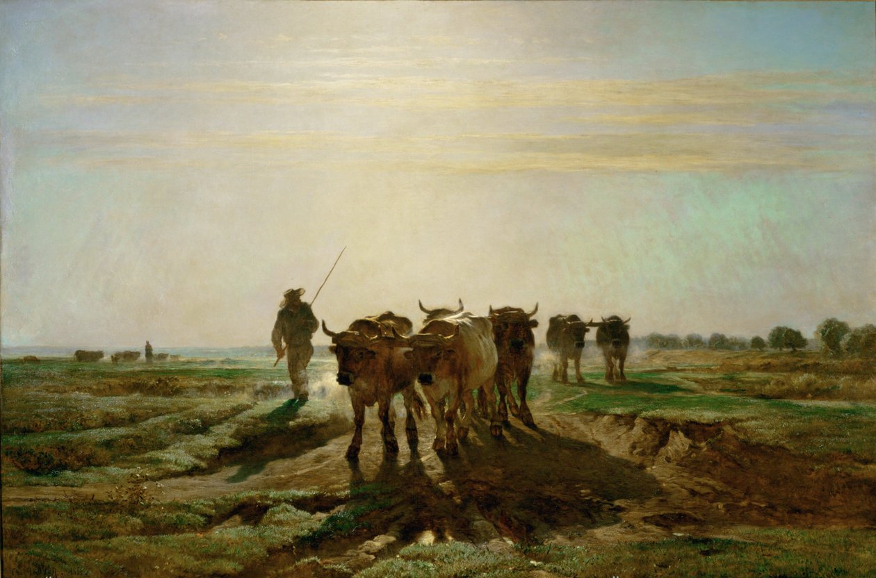 Boeufs se rendant au travail - 歩いて仕事に向かう牛、朝。1855 ... 作： コンスタント・エミール・トロワイヨン