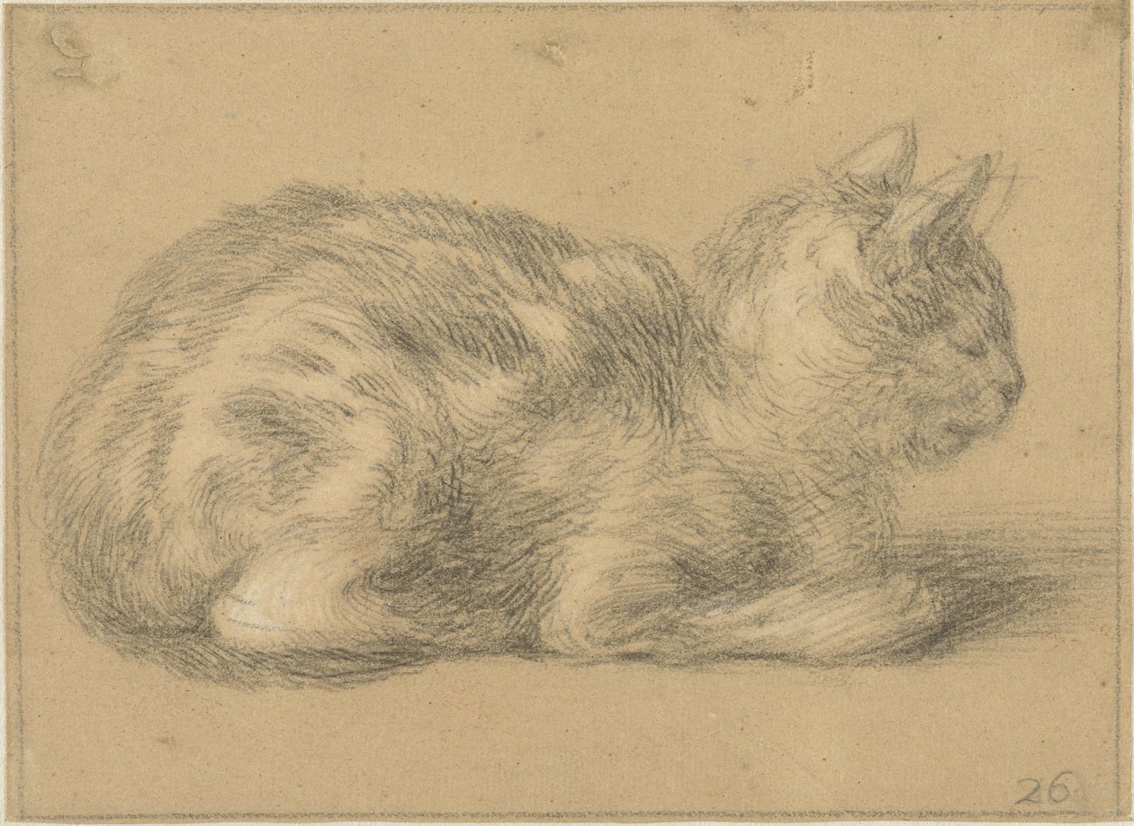 座っている猫、右へ 作： Cornelis Saftleven（おそらく）