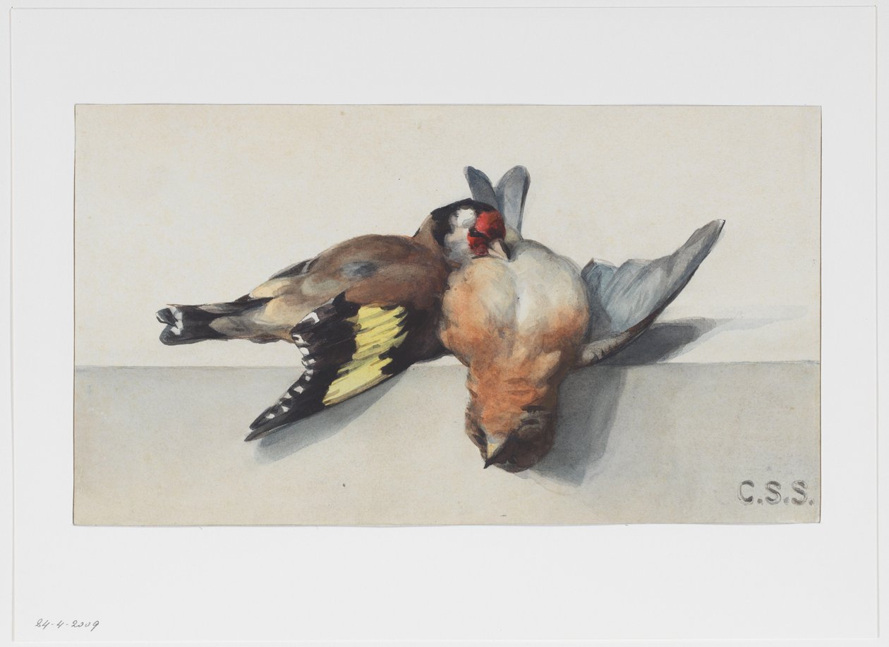 2羽の死んだ鳥のある静物 作： Cornelis Samuel Stortenbeker