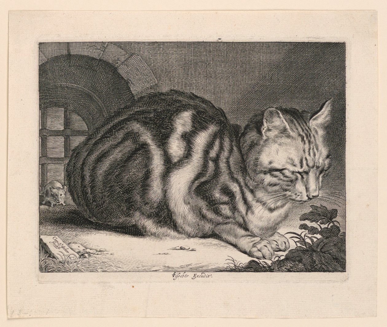 大きな猫 作： コルネリス・フィッシャー