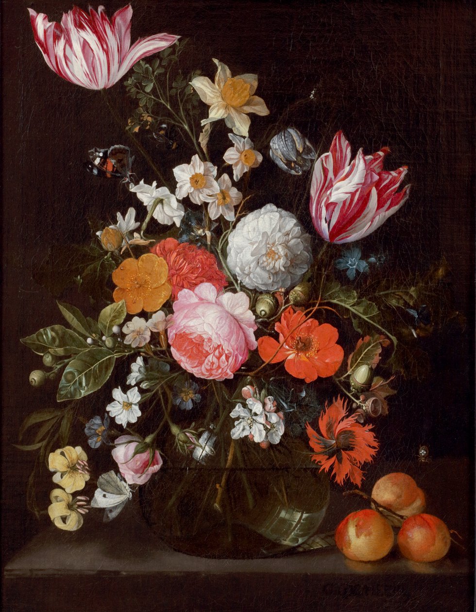ガラスの花瓶の花とアプリコット 作： コルネリス・デ・ヒーム