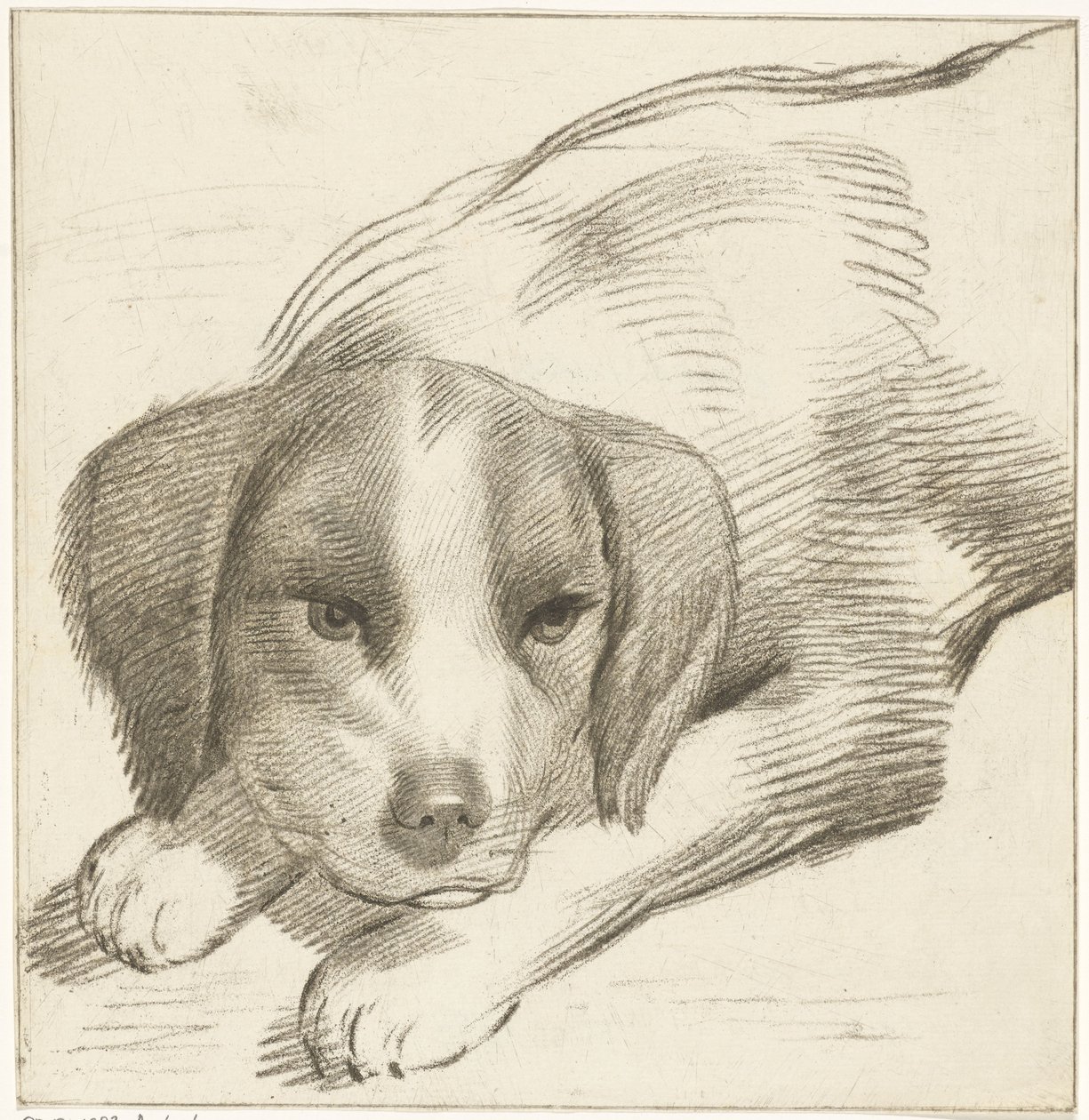 横たわっている犬 作： コルネリス・ファン・ノールデ