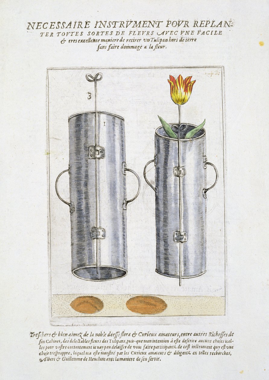 「Hortus Floridus」からの花を植えるための装置、1614年から15年に公開 作： クリスピンヨーク
