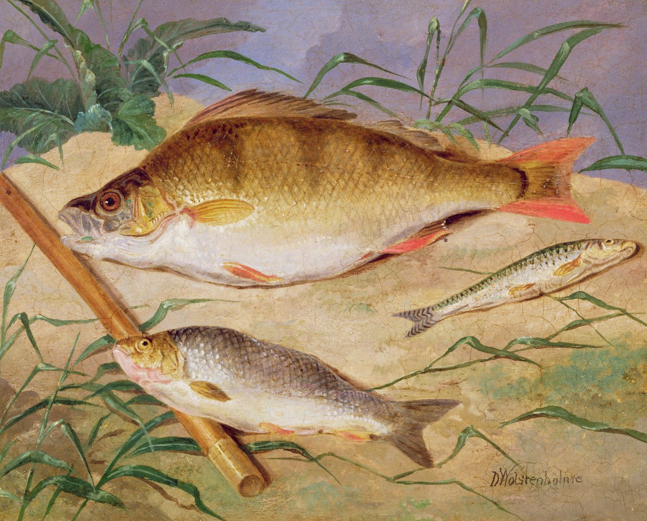 粗魚の釣り人のキャッチ 作： D.ヤンガー・ウルステンホルム