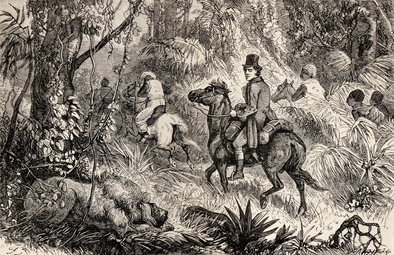 1825年にモディブーの村に向かう途中、ライオンに遭遇したマンゴパーク 作： ダルジエル兄弟