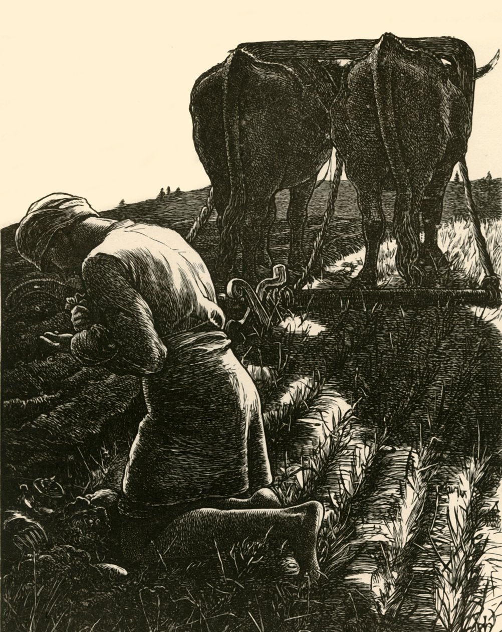隠された宝、1864、1928。 作： ダルジエル兄弟
