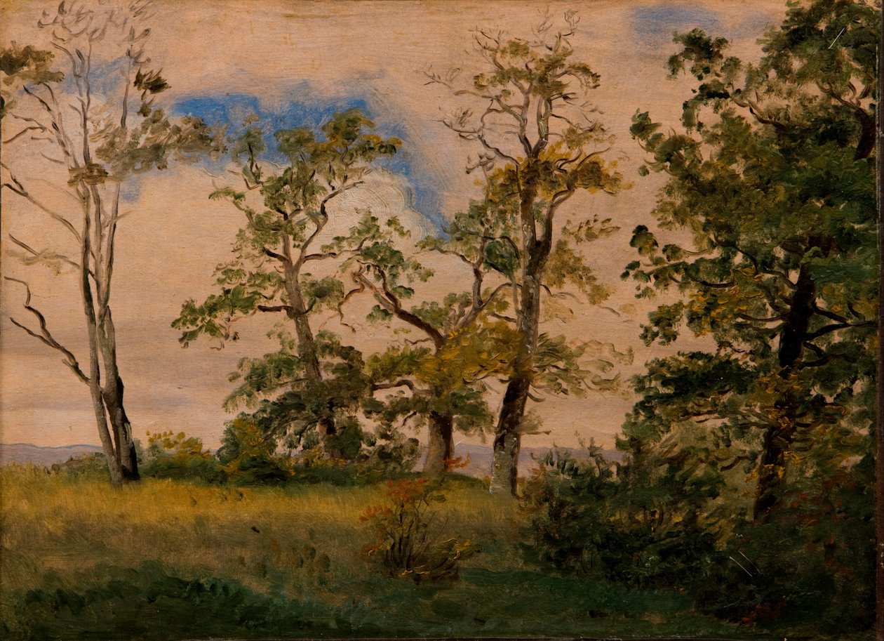 木と風景をテーマにした原画005 独立樹木のある風景 | アートプリント