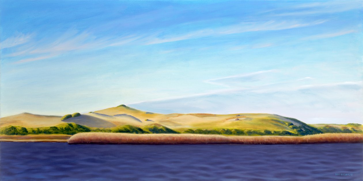 プロヴィンスランドに入る 2013年 （キャンバスに油彩） 作： デビッド・アルセノー