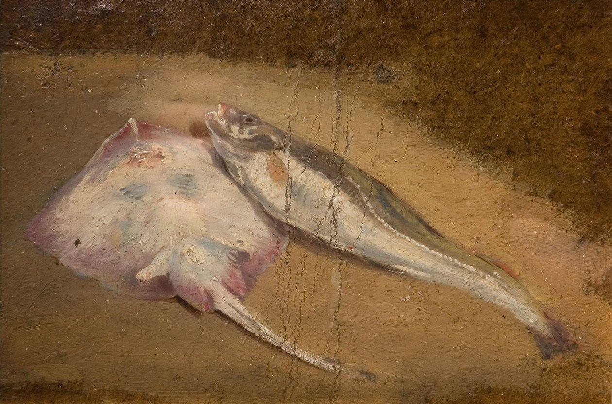 魚の研究 - スケートとタラ、1842年。 作： デビッド・コックス長老