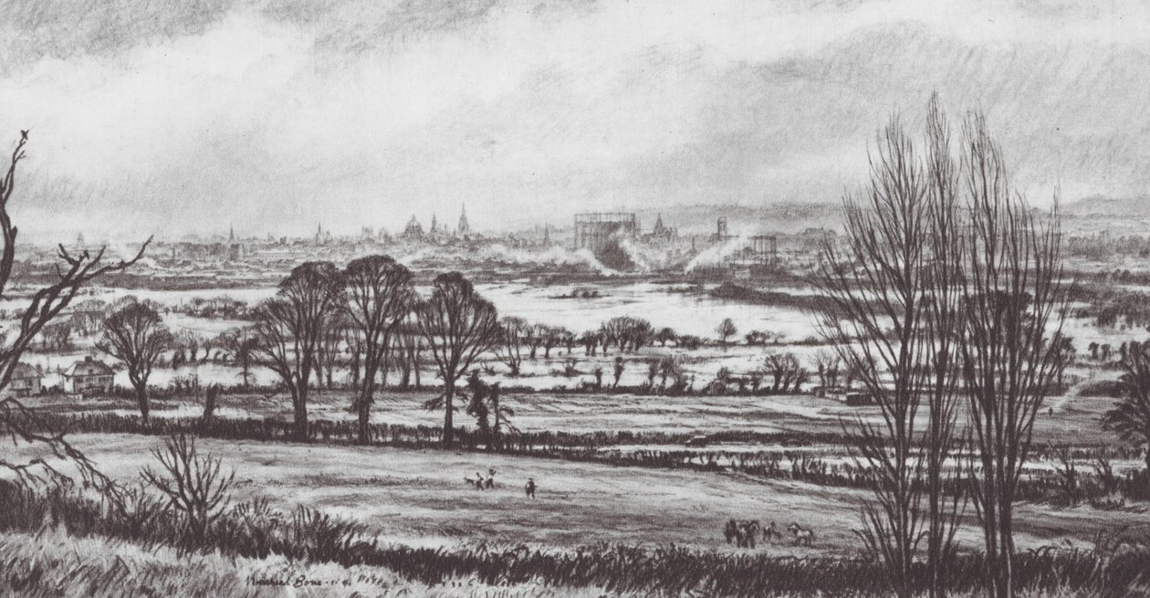  作： デヴィッド・ミュアヘッド (後) ボーン