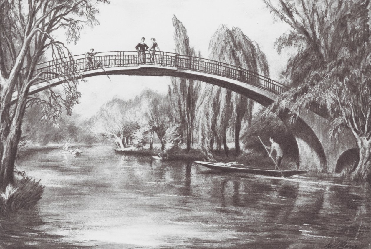  作： デヴィッド・ミュアヘッド (後) ボーン