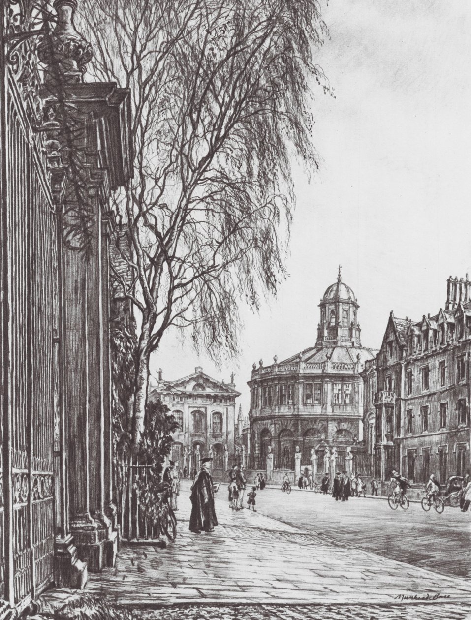  作： デヴィッド・ミュアヘッド (後) ボーン