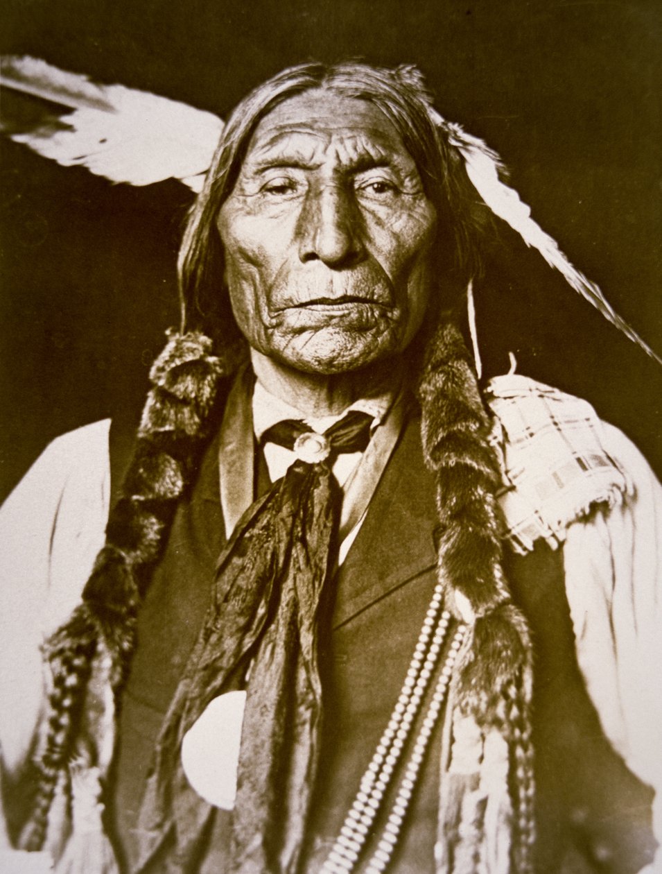 オオカミのローブ (b.1841) 1909 (白黒写真) 作： デランシーWギル