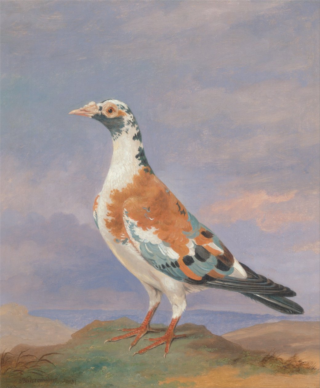 伝書鳩の研究 作： ディーン・ウルステンホルム
