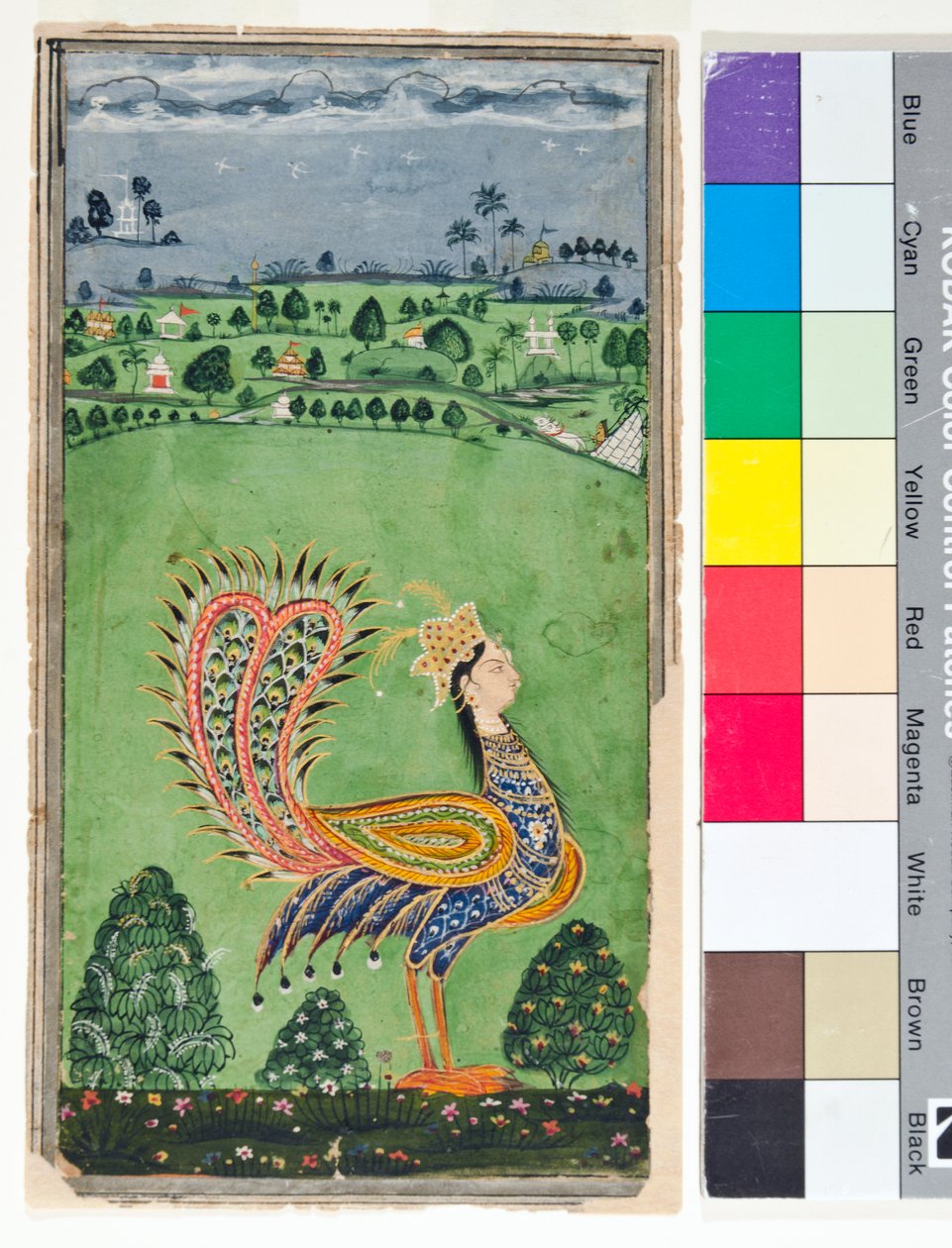 女性の頭を持つ神話上の孔雀、c.1750（不透明w - c、紙に金） 作： デッカニスクール
