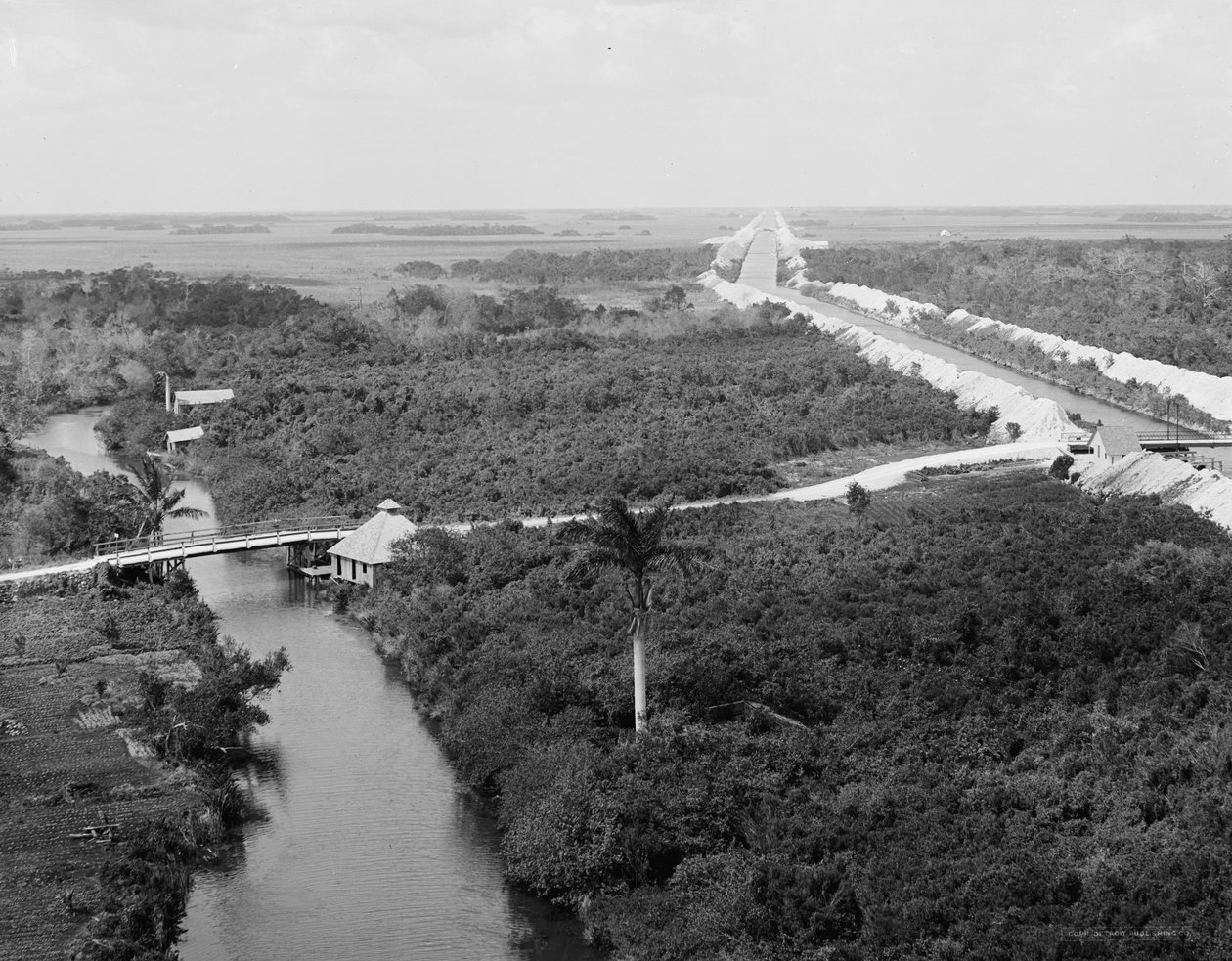 排水路とエバーグレーズ、フロリダ州マイアミ、c.1910-20 作： デトロイト出版株式会社