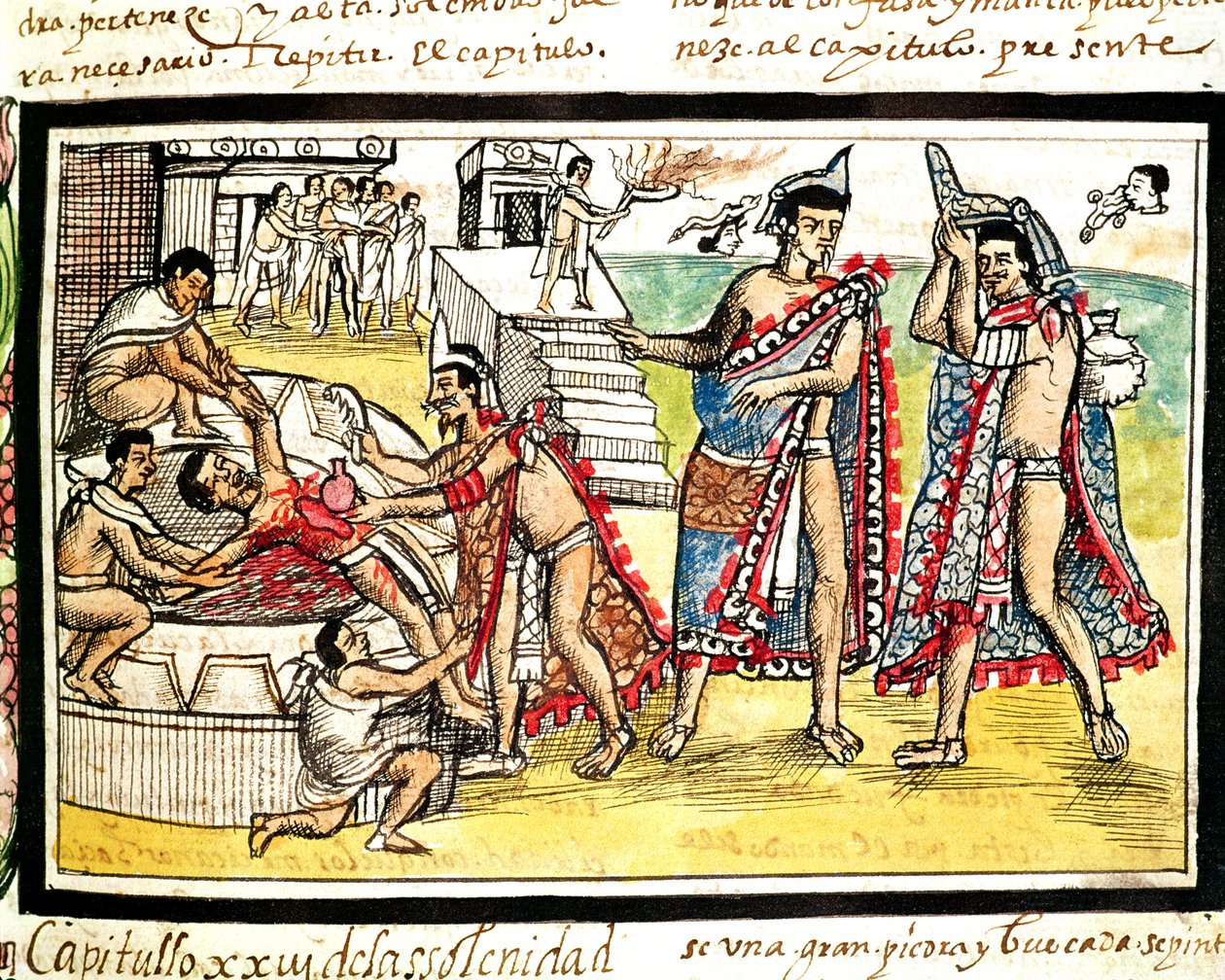 Fol.70v 人間のいけにえ 「デュラン写本」1579年（ヴェラム）より 作： ディエゴ・デュラン