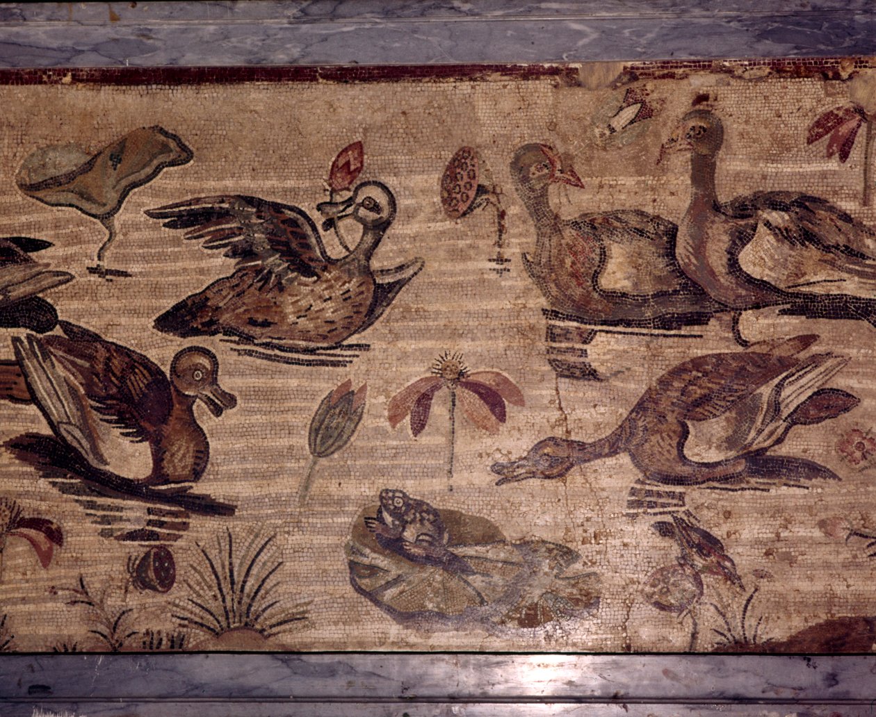 水の庭のアヒルとカエルのポンペイのローマ時代のモザイク、1世紀 作： サモスのディオスクリデス