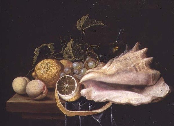 ストロンブスの殻と果実のある静物画 作： Dirck Sauts