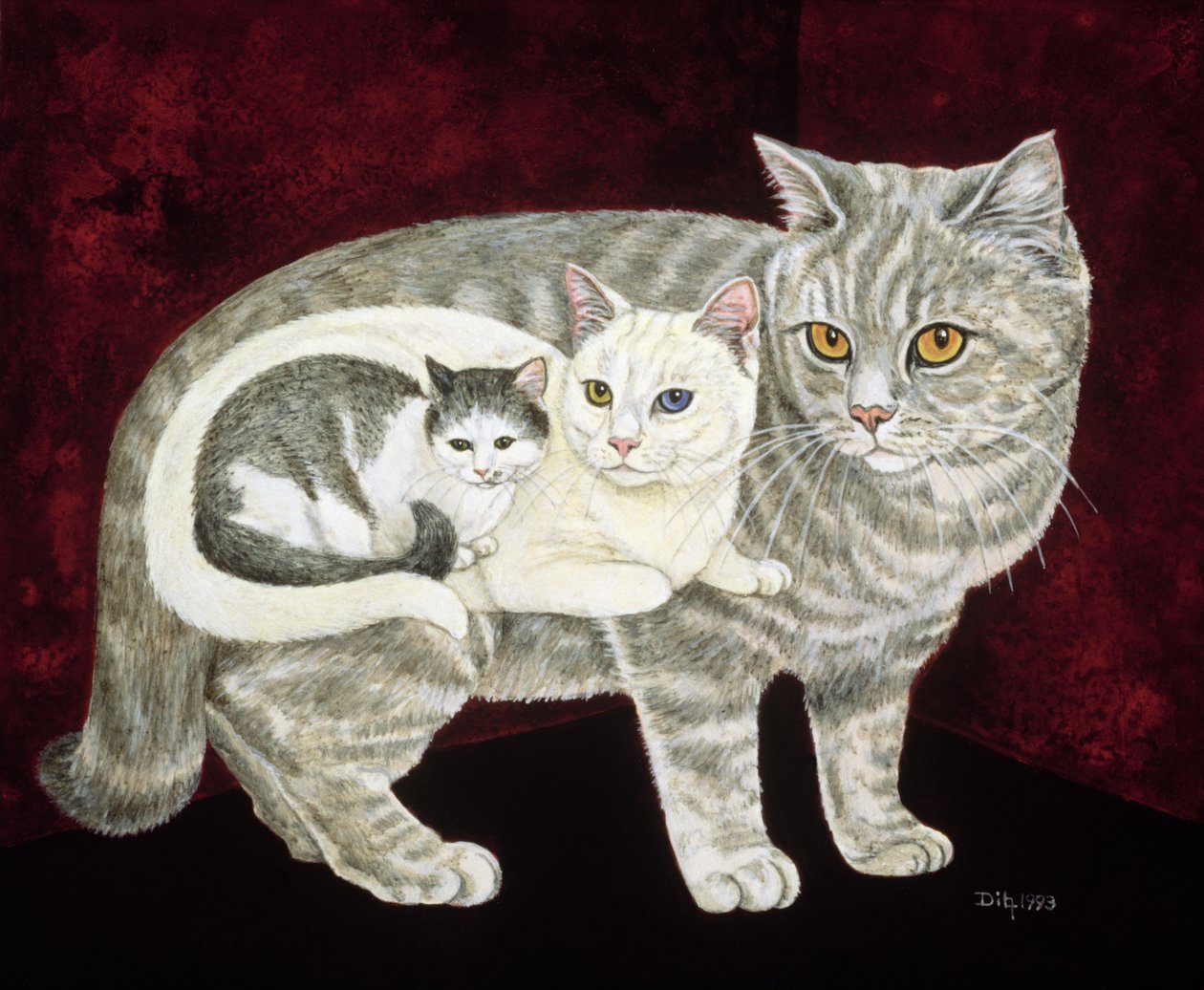 ロシアの猫 作： ディッツ