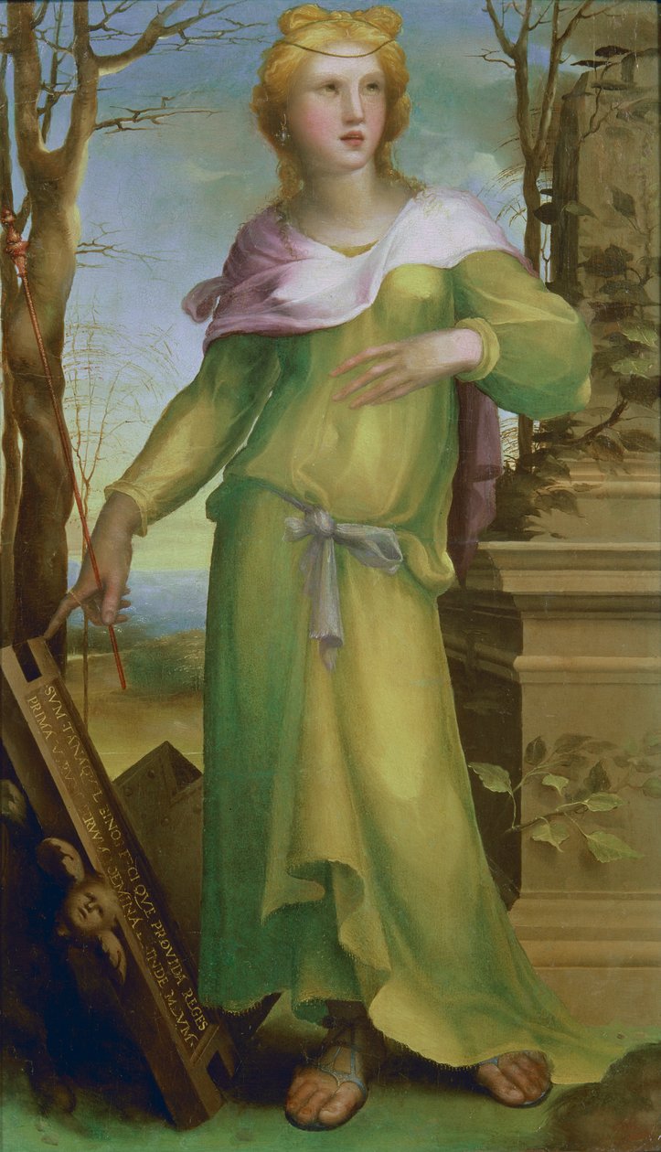 タナキル、1520〜25年頃（油彩） 作： Domenico di Pace Beccafumi