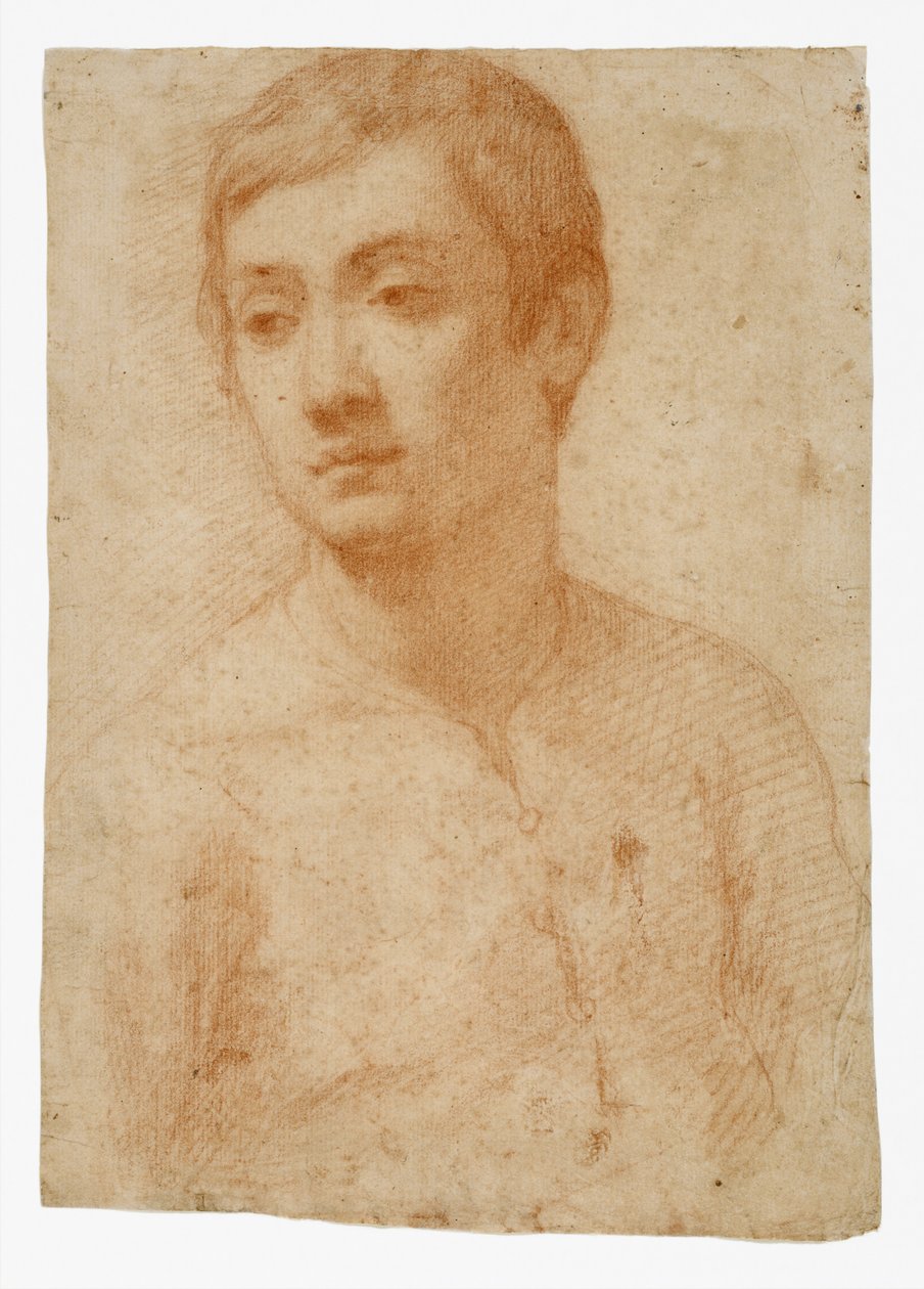 若者の頭、1600〜25年頃（紙に赤いチョーク） 作： Domenico Cresti（Il Passignano）