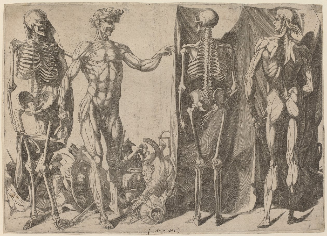 スケルトンとフレイド、c。 1540-1545。 作： ドメニコ・デル・バルビエレ