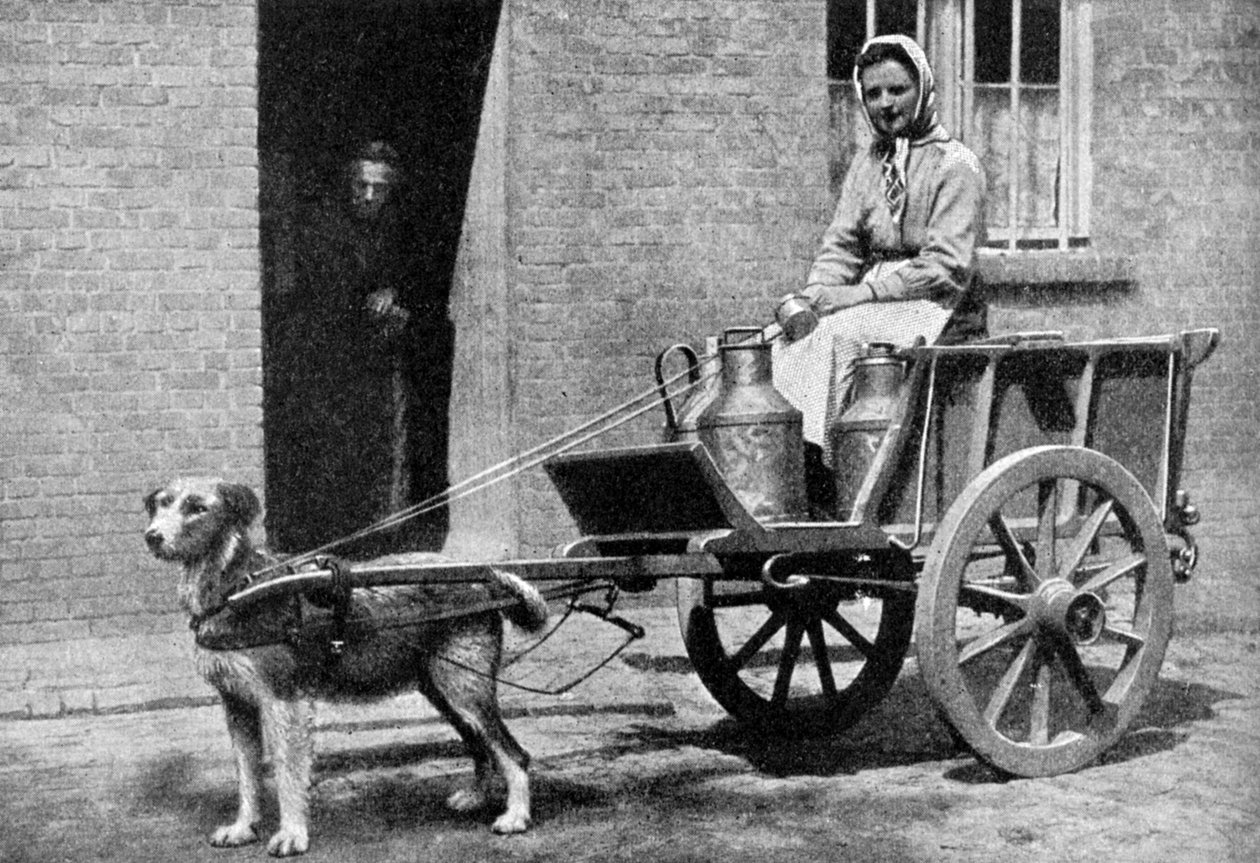 1922年の朝、ベルギーのベルギーの乳母。 作： ドナルド・マクリーシュ