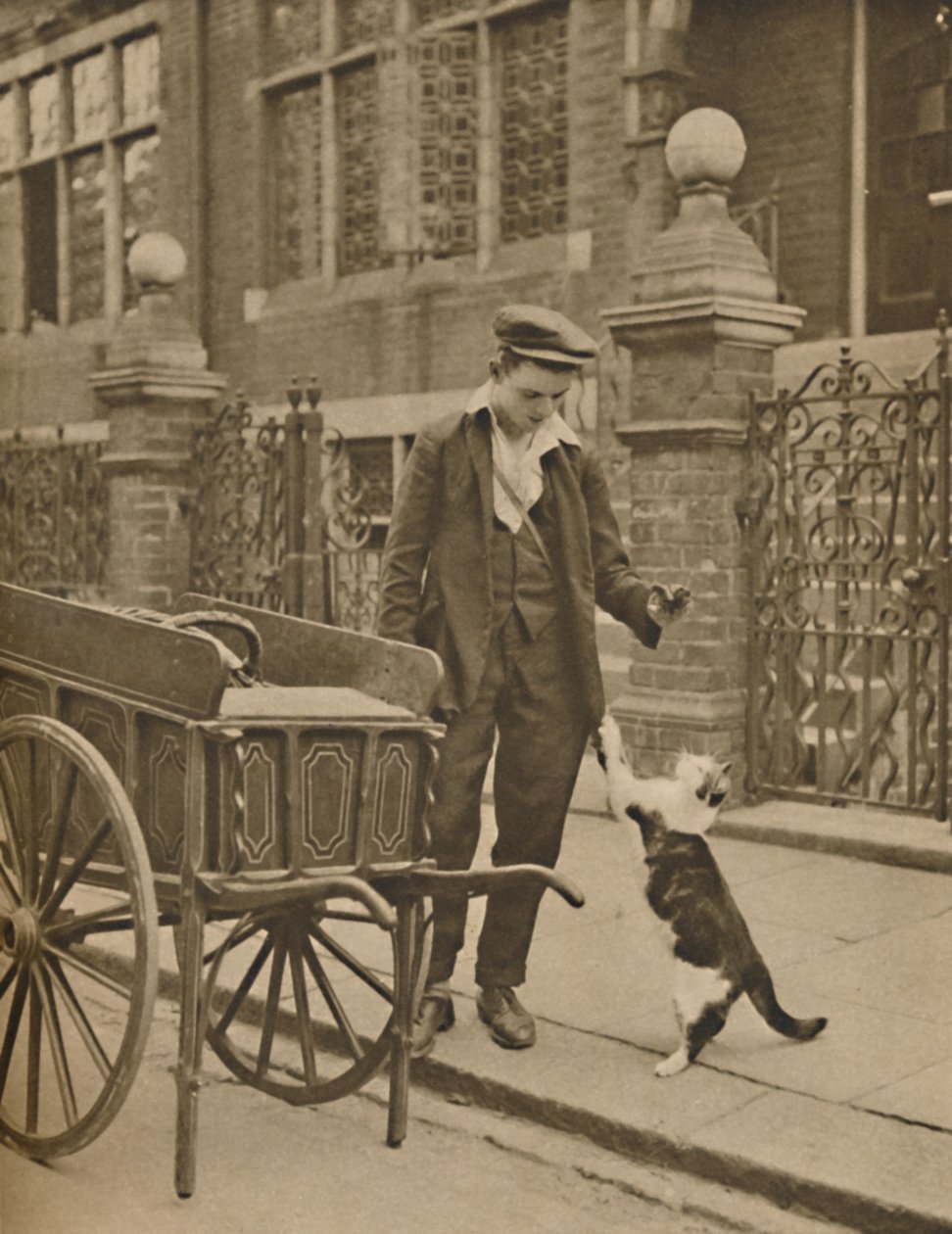 最も確立された取引の1つ：顧客と猫と肉の男、c1935。 作： ドナルド・マクリーシュ