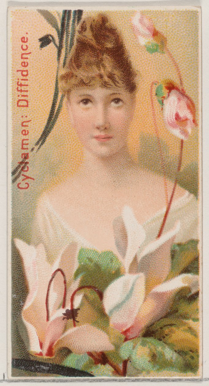 シクラメン: ディフィデンス、シリーズ「花の美しさと花言葉 N75 for Du...」から、1892 年。 作： ドナルドソンブラザーズ