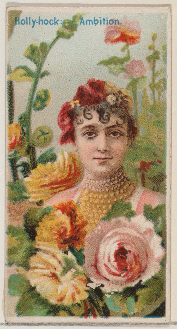 ホーリーホック: 野心、シリーズ「花の美しさと花言葉」N75 for Duk...、1892年から。 作： ドナルドソンブラザーズ