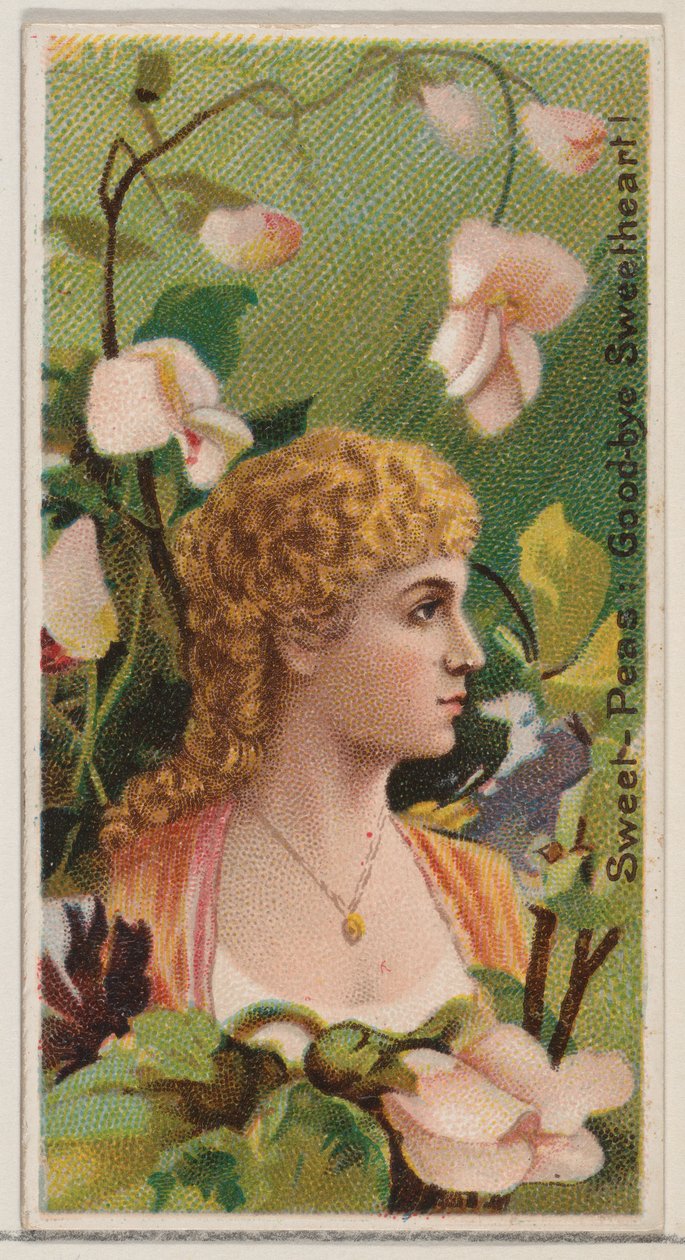 Sweet-Peas: Goodbye Sweetheart!、シリーズ「Floral Beauties and Flowers of Flowers ...」、1892年より。 作： ドナルドソンブラザーズ