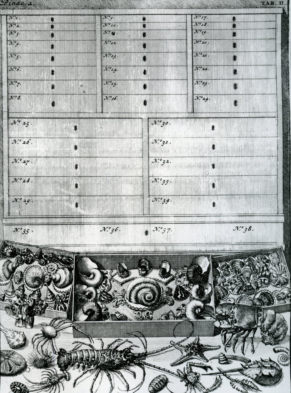 1719年に公開されたLevin St. Vincentによる「The List Tables」の表2 作： オランダ語学校