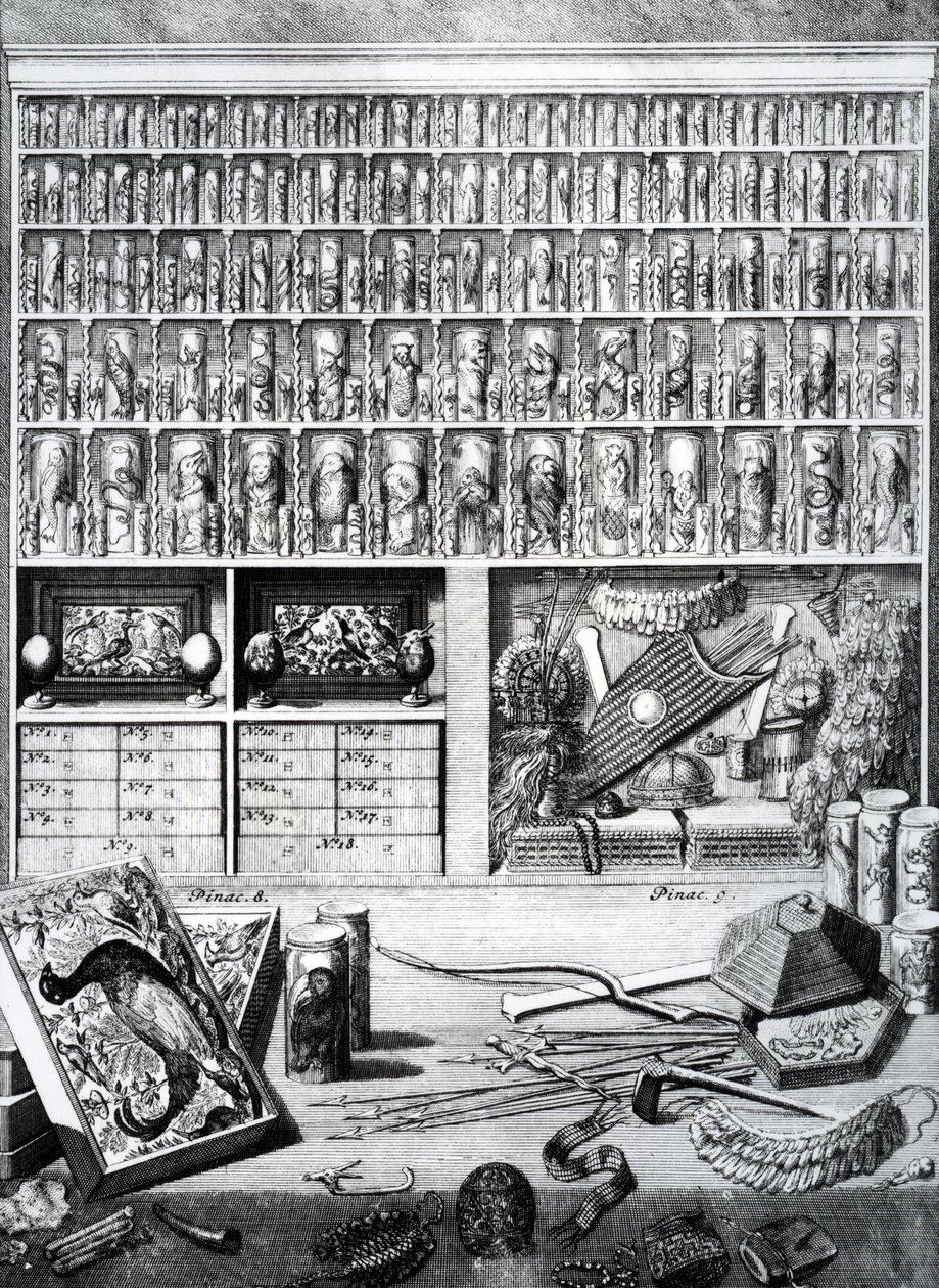 1719年に公開されたLevin St. Vincentによる「The List Tables」の表5 作： オランダ語学校