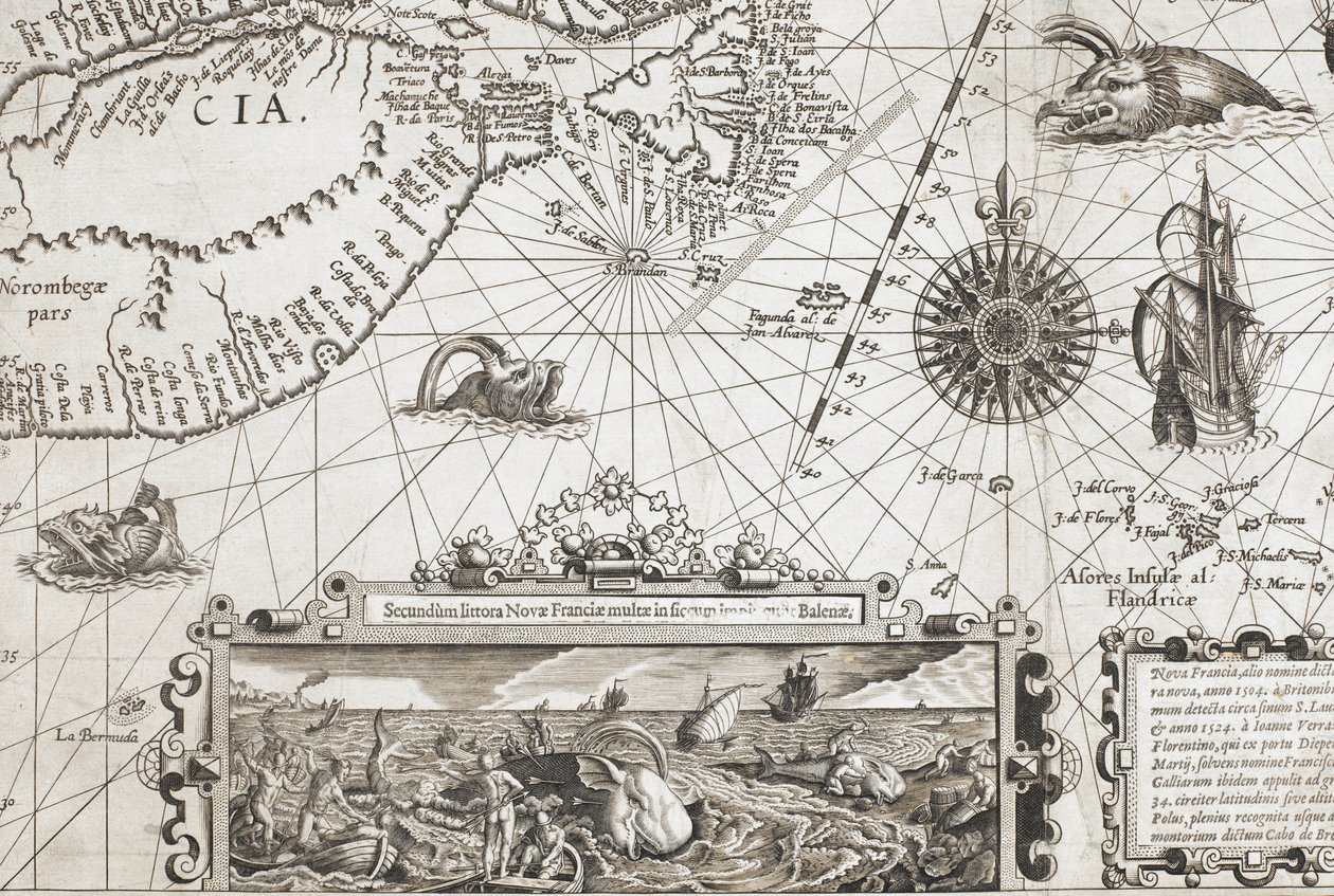 「Nova Francia, alio nomine dicta Terranova, anno 1504...」より、昔ながらのクジラのような海の怪物 2 体と、よりリアルなクジラの挿入図 作： オランダ語学校