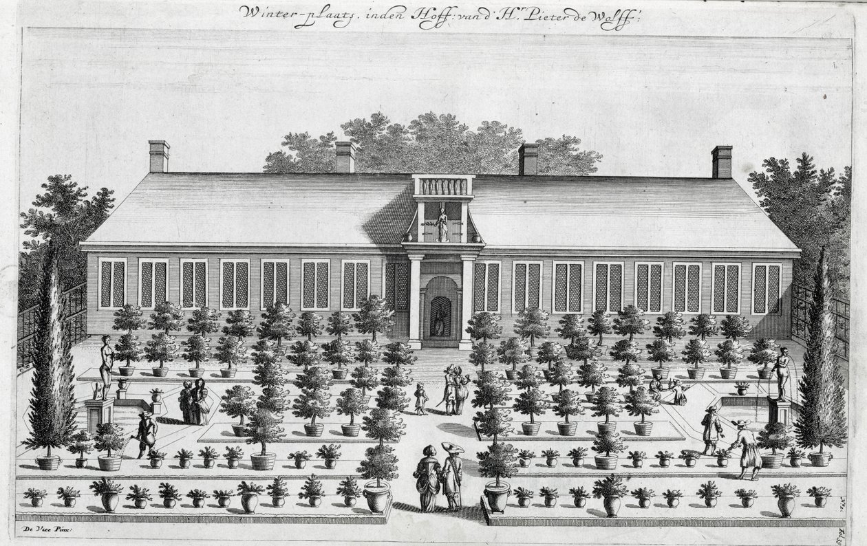 Jan CommelinによるDe Nederlandze Hesperidesのオランダ庭園、1676年に公開 作： オランダ語学校